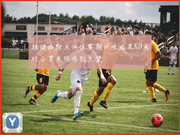 杨健幽默点评休赛期训练成果KD或对小贾表现感到失望