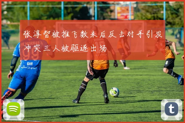 张淳智被推飞数米后反击对手引发冲突三人被驱逐出场