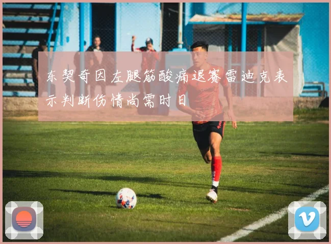 东契奇因左腿筋酸痛退赛雷迪克表示判断伤情尚需时日
